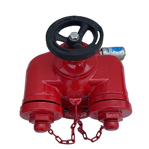 多功能水泵接合器